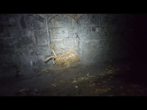 Ravenscar, Disused Railway Tunnel.