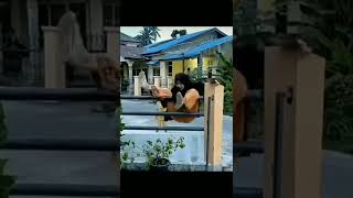 Download lagu meme lucu || kumpulan video lucu bikin ngakak sakit perut |#shorts #lucu mp3 Download lagu meme lucu || kumpulan video lucu bikin ngakak sakit perut |#shorts #lucu mp3