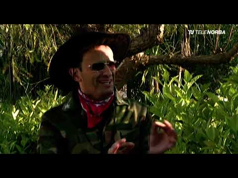 Mudù 17x7 - Telenorba