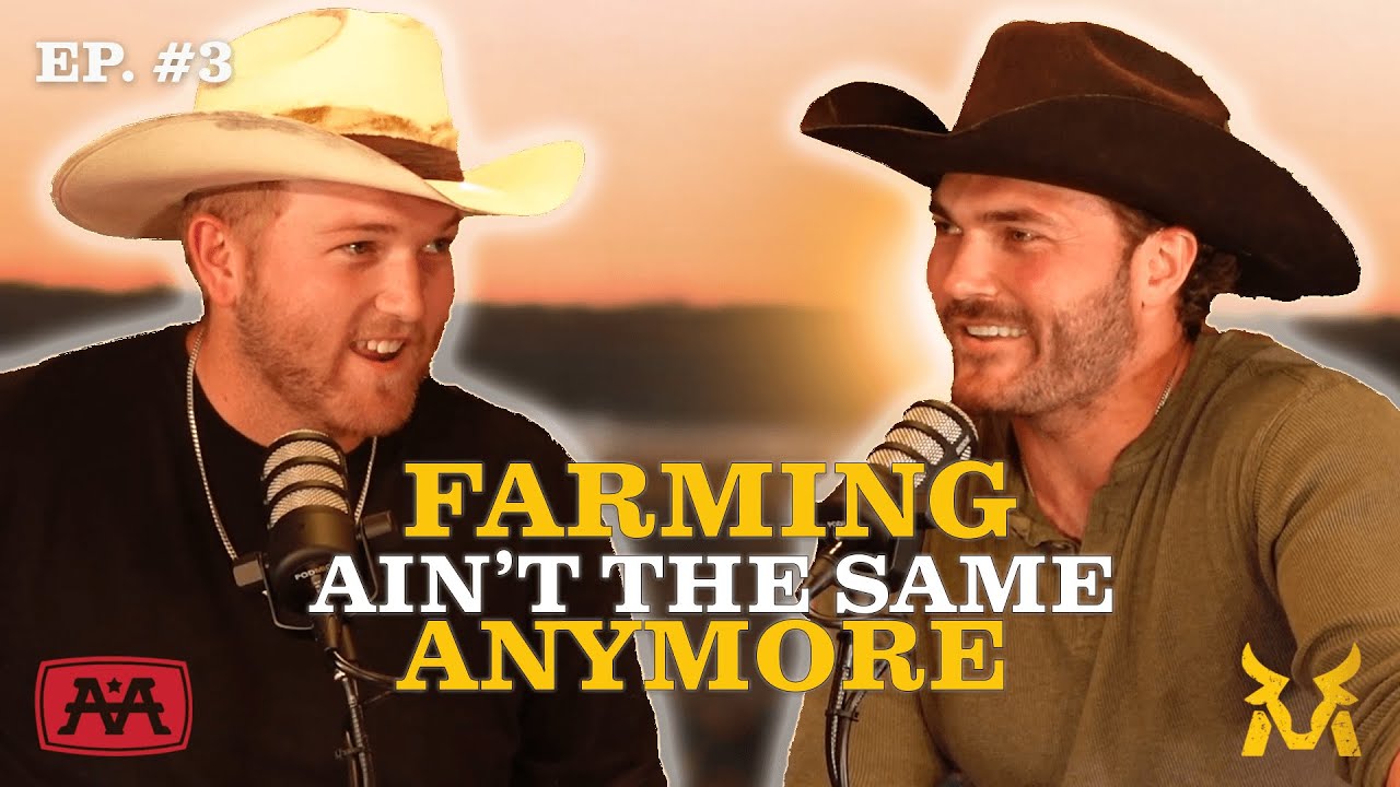 YouTube Thumbnail Downloader FULL HQ IMAGE