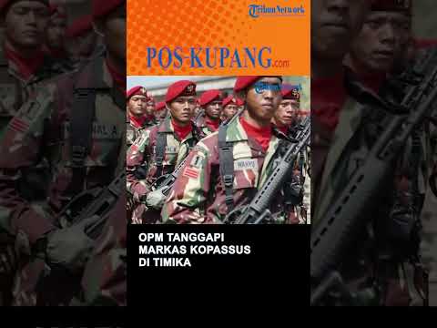 OPM Tanggapi Kabar Grup 6 Kopassus Bermarkas di Timika
