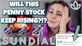 This Penny Stock Is Up 75% Today🤭🚀🚀 Is it a buy? | SNDL Stock