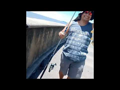 ESCAPADITA a Parque de los niños #pescaesportiva #carpfishing 