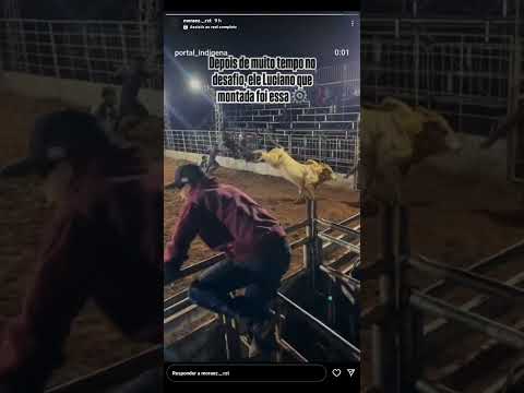 são Jerônimo rodeio barão de Antonina