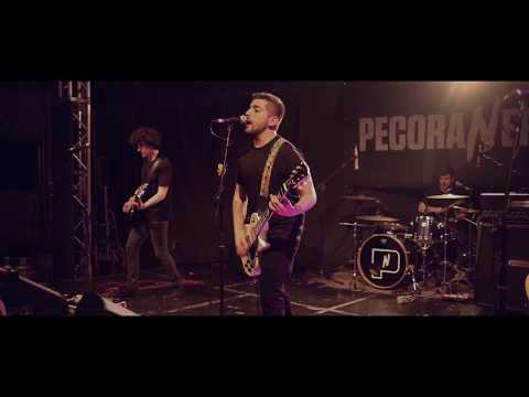 video frame placeholder