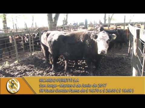 06-06-17 Venta de Vacas Gordas - Ricardo Peiretti S.A. - San Jorge.