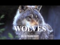 Kanye West (feat. Vic Mensa & Sia) - Wolves ...