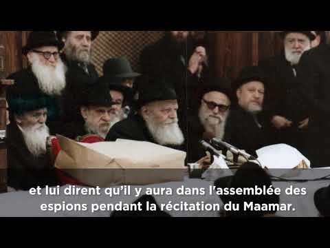 Mon Rabbi 24 - Un farbrengen risqué | Histoire