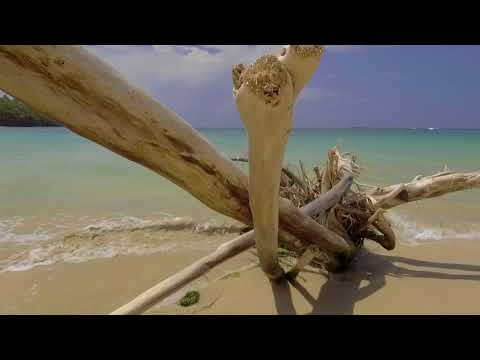 Republica Dominicana   High by the beach