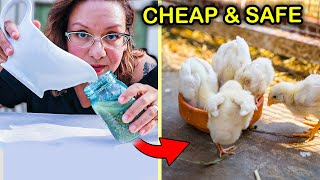 Stop Wasting Money! Feed Baby Chicks THIS WAY Instead