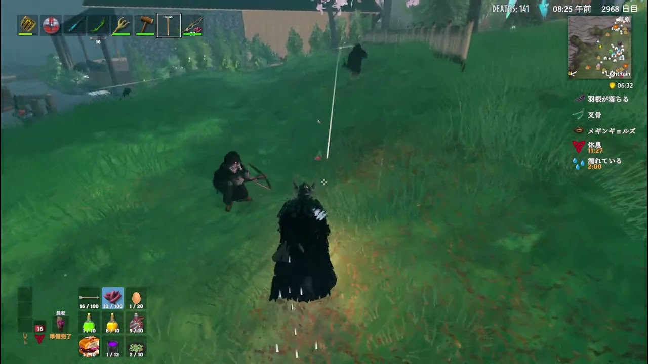 Preview Video
