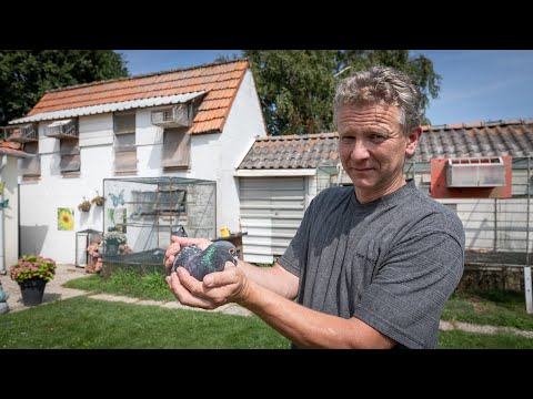 National NPO winners 2019: Bergerac - Walter van der Meulen (+ English subtitles)