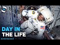 Life Inside The International Space Station
