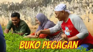 Download lagu BUKO PEGAGAN | JEJAK SI GUNDUL (13/11/21) mp3