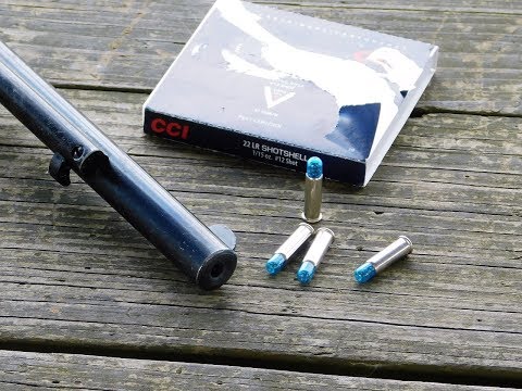 CCI 22 LR Shotshell Ammo Test
