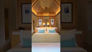 Download lagu Sudamala Resort Komodo: Surga Tersembunyi di Ujung Labuan Bajo mp3 Download lagu Sudamala Resort Komodo: Surga Tersembunyi di Ujung Labuan Bajo mp3