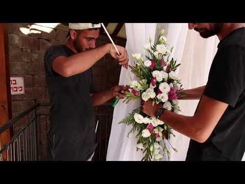 טרויה חתונה