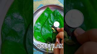 दुर्गा पूजा में पान के पत्ते से करे ये tyari || Jai mata di #navratri #shorts #youtubeshorts