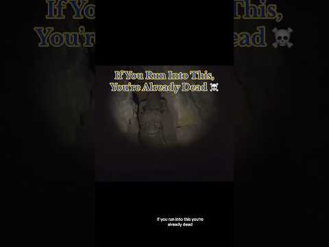 If You Run Into This You’re Already Dead… #interesting