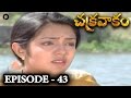 Episode 43 Chakravakam Telugu Daily Serial