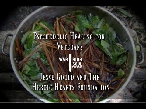 #Psychedelic Healing for #Veterans: Jesse Gould's Heroic Hearts Foundation | Warrior Soul Podcast