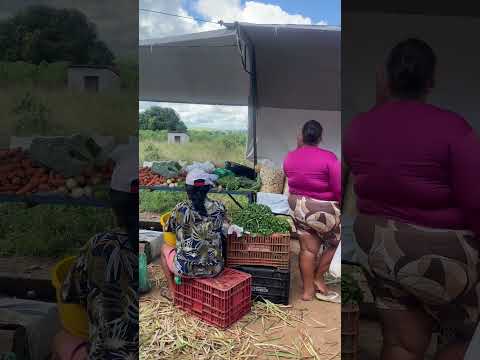 Feira livre no povoado taboquinha/Feira Grande-AL#feiralivre #nordeste #alagoas #viral #shorts #fyp