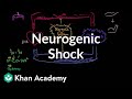 Neurogenic shock | Circulatory System and Disease | NCLEX-RN | Khan Academy