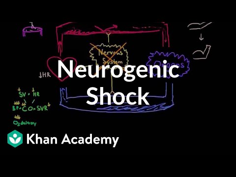 Neurogenic shock | Circulatory System and Disease | NCLEX-RN | Khan Academy Video