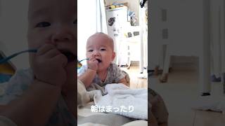 もうすぐハイハイ始まるかな？