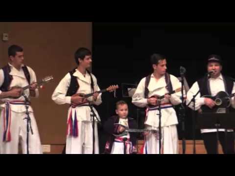 TS Šokadija - Smotra Malmö 2013