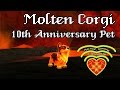 World of Warcraft: Molten Corgi - 10th Anniversary ...