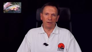 Когда весной запрет на рыбалку ульяновск