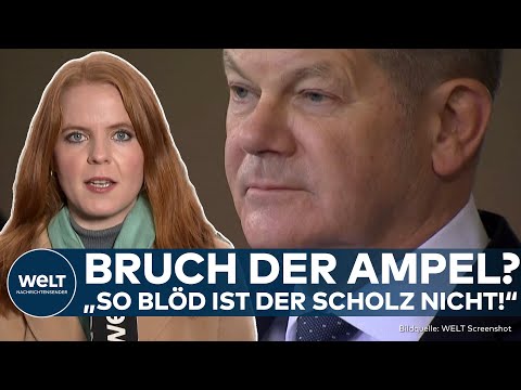 AMPEL-KRISE: SPD, FDP und Grüne vor dem Aus? Sigmar Gabriel äußert sich zu Neuwahlen