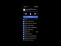 4block Lil Mari 4block Savior Unreleased