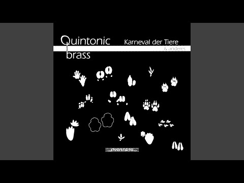 Melodien der 20er Jahre: Wenn die Elisabeth nicht so schöne Beine hätt'