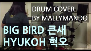 Big Bird 큰새 - Hyukoh 혁오 (Drum Cover) [드럼 커버]