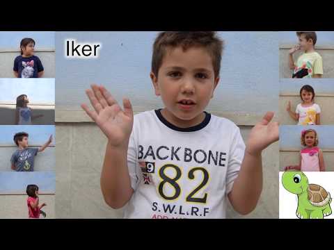 Classe de les Tortugues