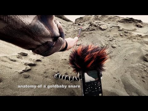 Free Download EPROM Grind MULTiFORMAT