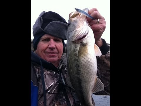 Outstanding Jerk Bait Bass Fishing – Nov 2013