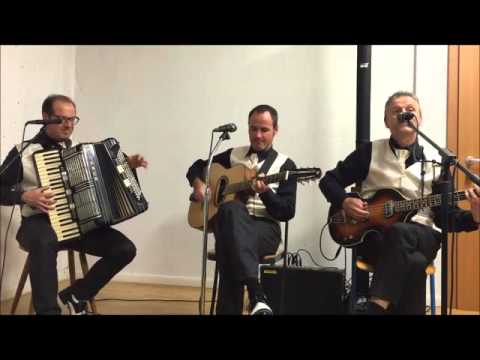 Hoch auf den Bergeshöh`n, (V.S.Avsenik) gespielt von TriOlé