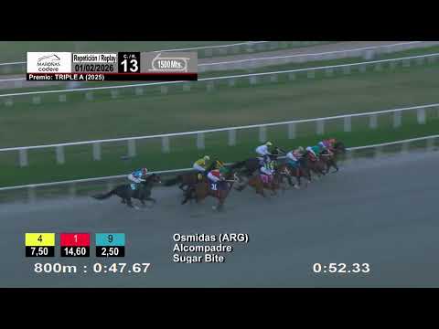 CARRERAS MARONAS 1°/2/26 | EN VIVO | URUGUAY