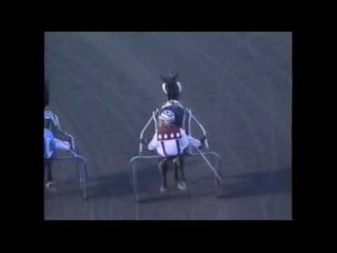 1997 Meadowlands FEEL THE MOTION John Campbell Merrie Annabelle Elimination