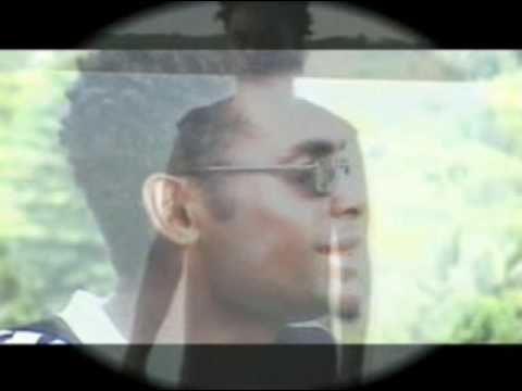 Island ROOTSmeri nipsco