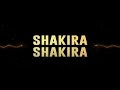 Hips Don T Lie Club Remix DJ ARIN DJ Dalal Shakira Wyclef Jean