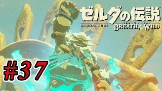 顔面ラフレシアなんですが  #37【ゼルダの伝説ブレスオブザワイルド実況】