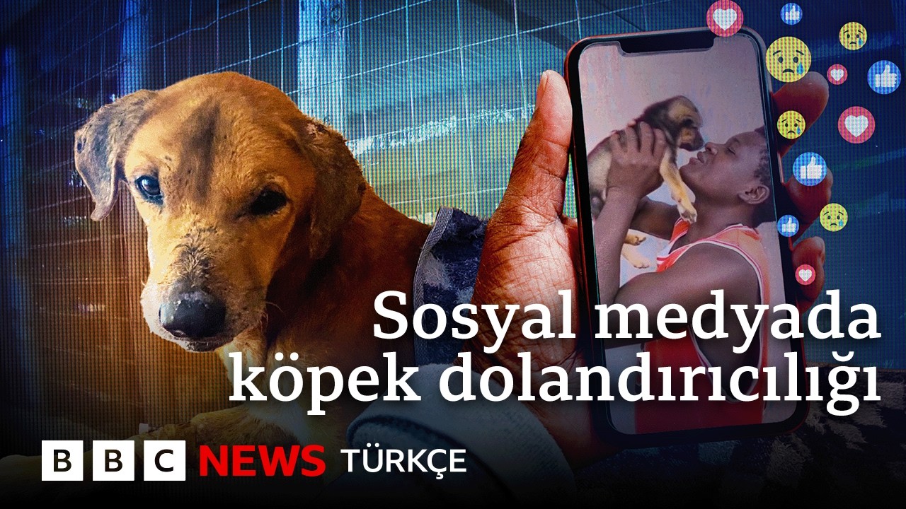 Afrika’daki sahte hayvan barınakları