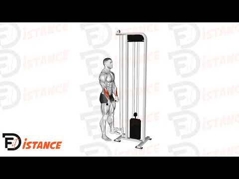 Flexion des poignets inversé à la poulie - Exercice Flexion des poignets inversé à la poulie en vidéo Flexion des poignets inversé à la poulie - Exercice Flexion des poignets inversé à la poulie en vidéo