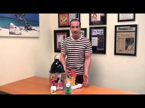 Zoo Med Deep Dome & Reptisun 10.0 Kit with TWO FREE Items - Best Zoo Med Prices Online