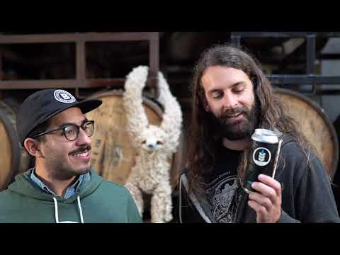 Fresh Year Fresh Beer Fest - Pure Project - Force of Nature