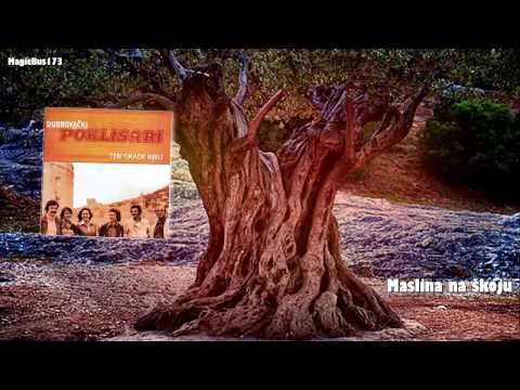 Dubrovački poklisari - Maslina na škoju